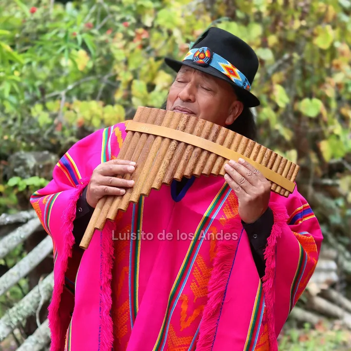 Luisito de los Andes