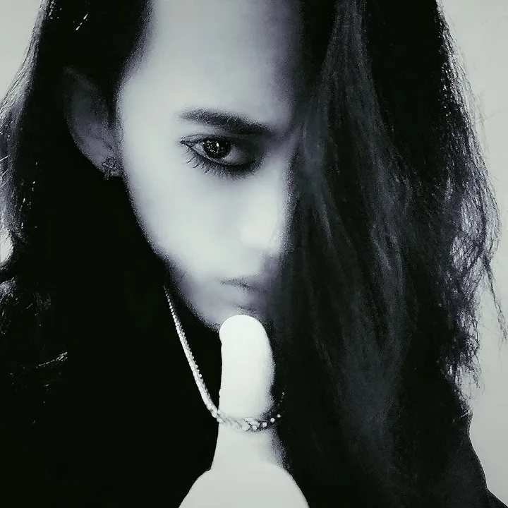 ☽ ⚝文森✞梵✟路德維希⚝ ☾