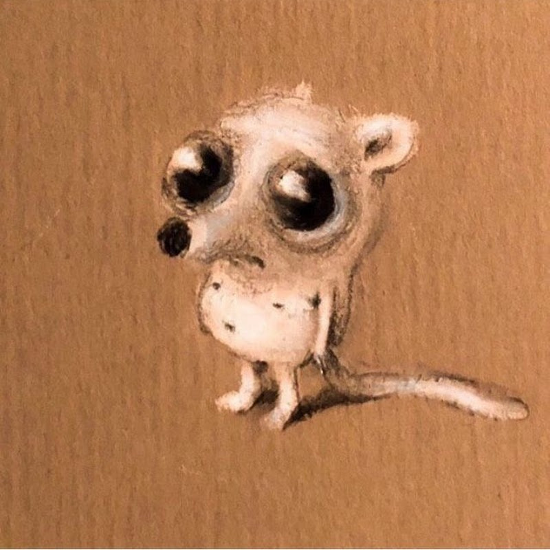 VaqueroPit
