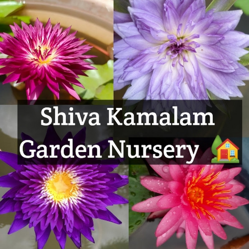 Shiva Kamalam Garden Nursery🌷🌿