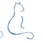 Bergen Katteklinikk 🐾