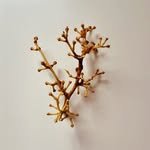 ana frois