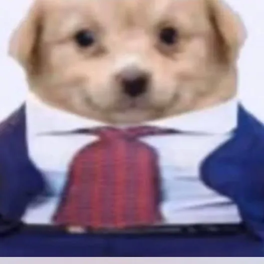 Meme hub