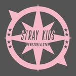 Stray Kids Venezuela Stay