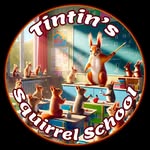 Tintin's Squirrel School: Rescue & Rehab