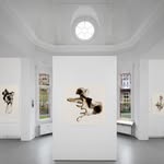 BRADWOLFF PROJECTS