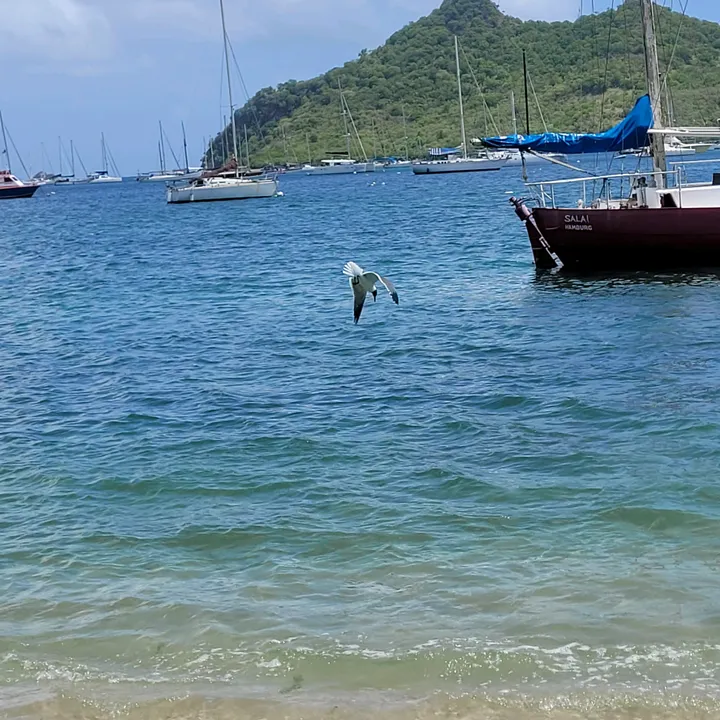 Robin&kajah|Sail&Travel