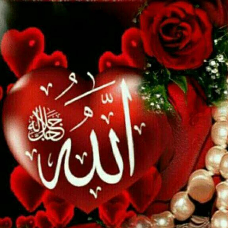 سهير كيتشن اخباراليوم7
