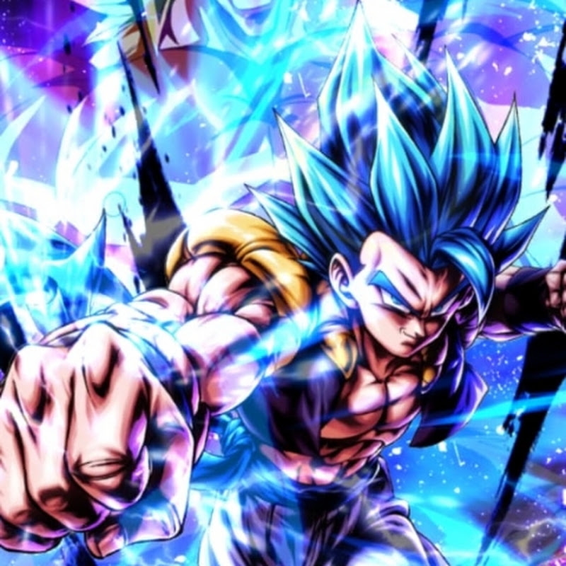 Mr Gogeta 