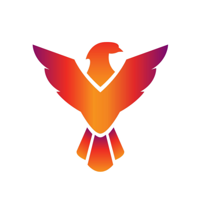 Phoenix Network