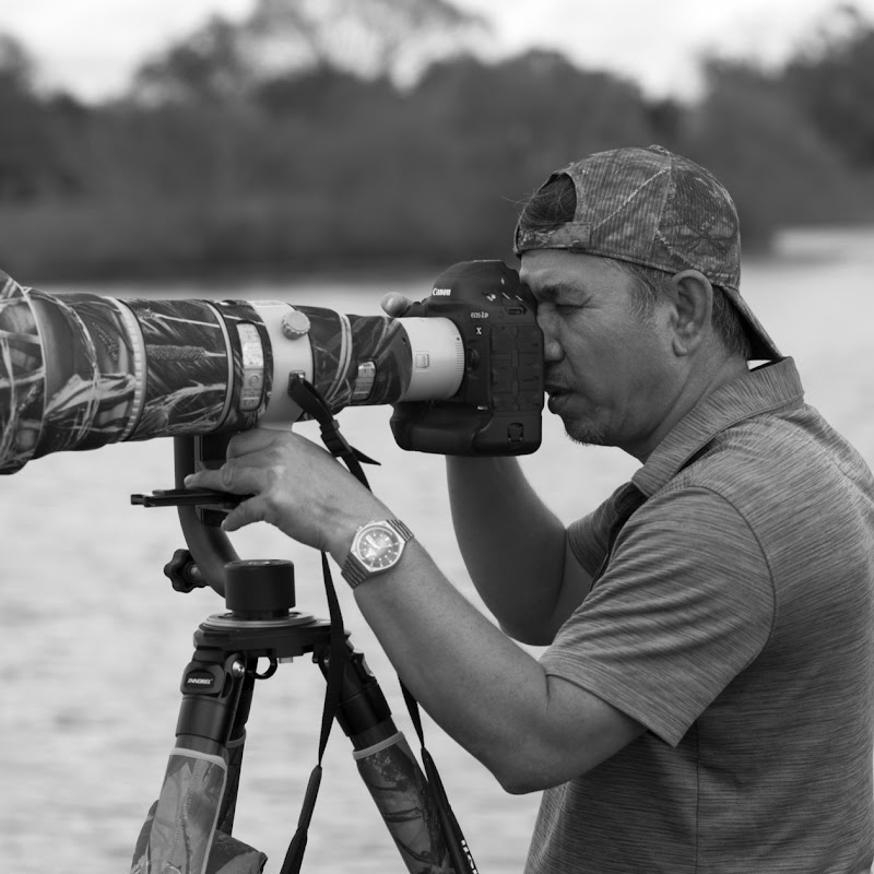 Andy Vu Photography