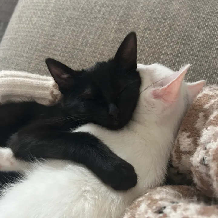 Luna & Yuki🐾