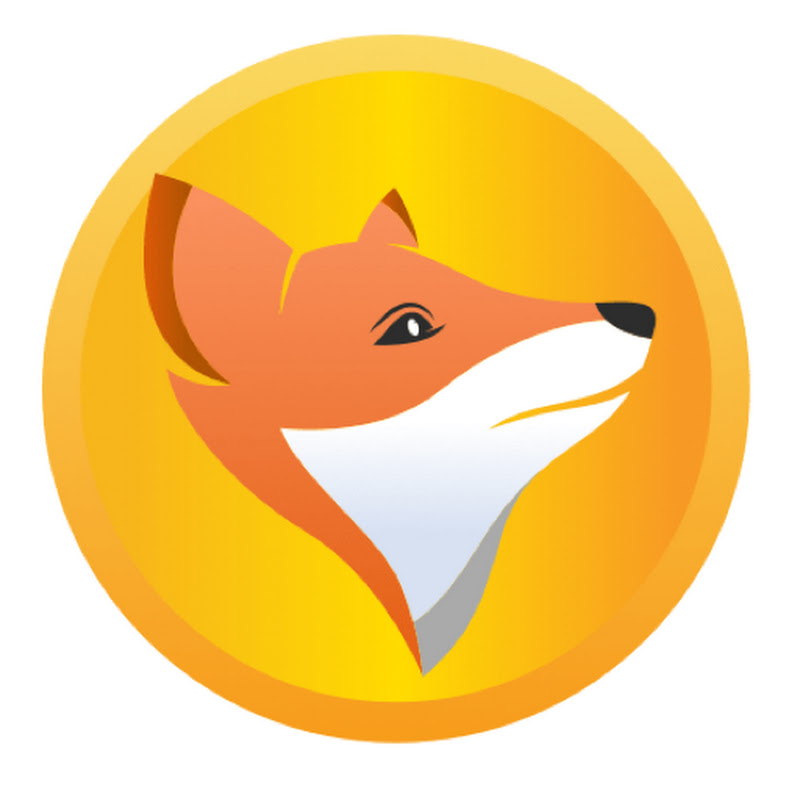 Financial Fox