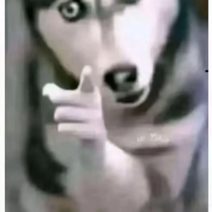 zejuxhvk56
