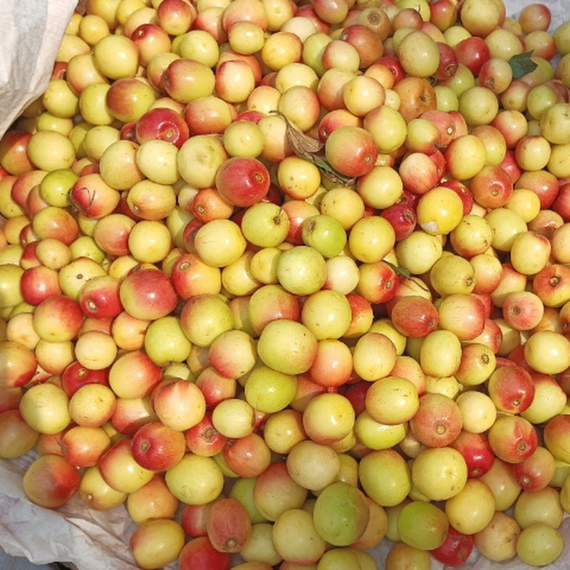 Different experience