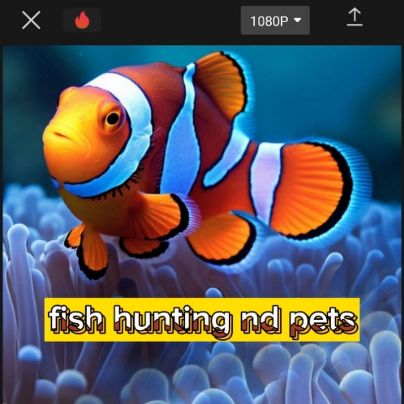 Fish hunting nd pets +food