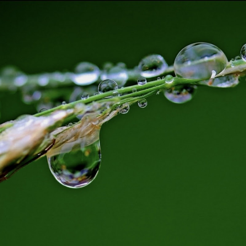 Rain Sound Natural 