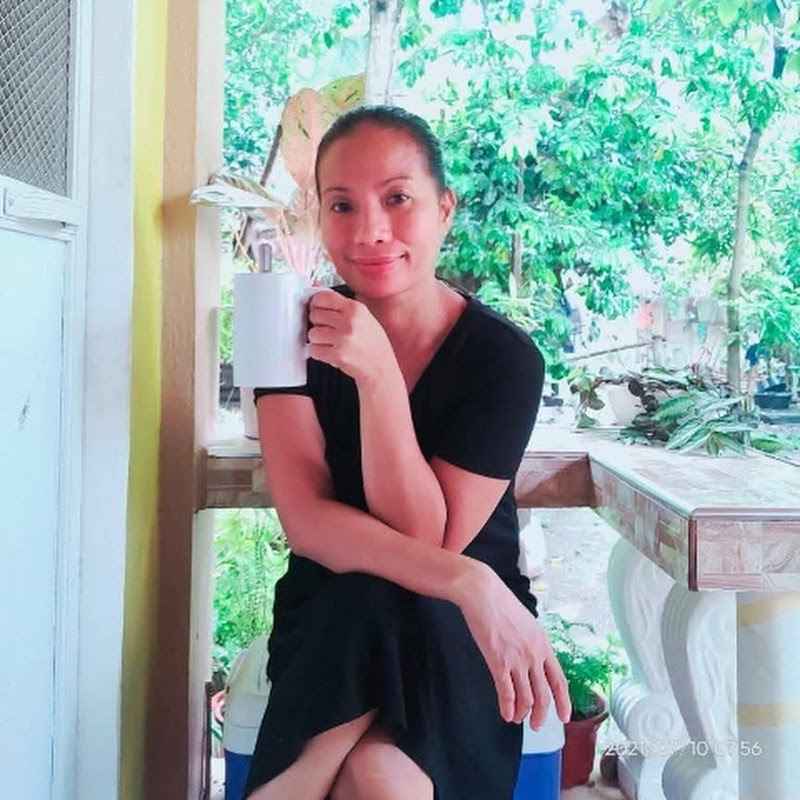 LIFE IN THE PHILIPPINE PROVINCE 