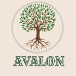 Avalon - Plants|Gifts|Bonsai