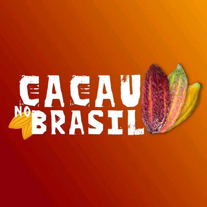cacau no Brasil
