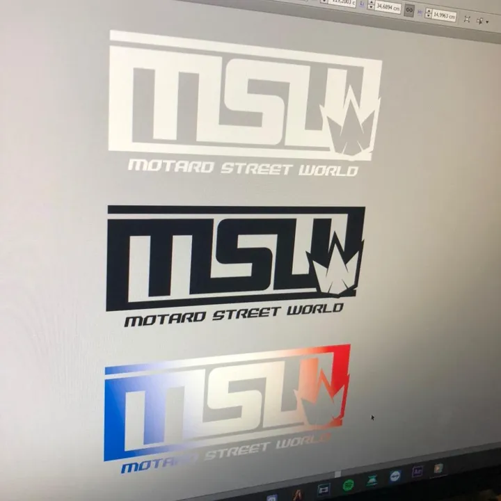 TEAM MSW
