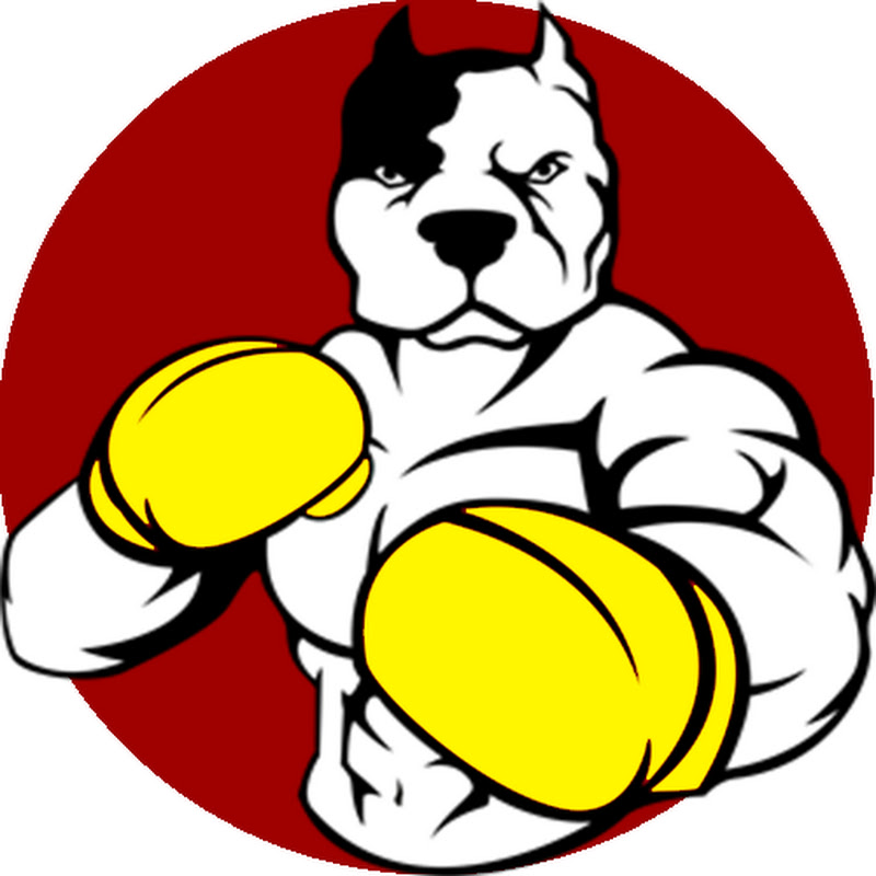 Finn - Boxing News