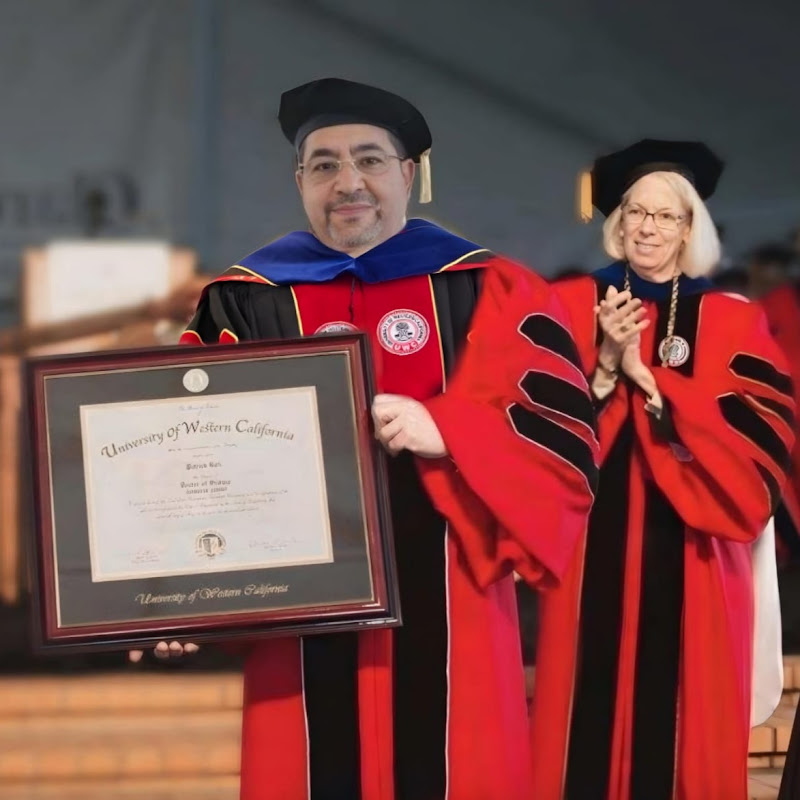 Prof. Dr. Walid Bayoumi
