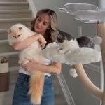 Krista & Cats | BamBam & Bonnie