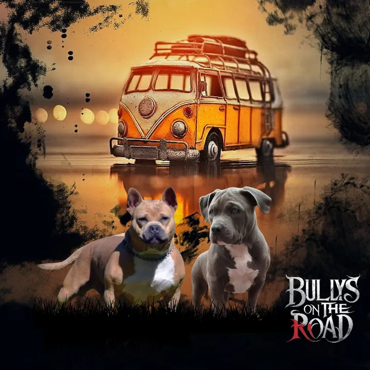 Bullys on the Road