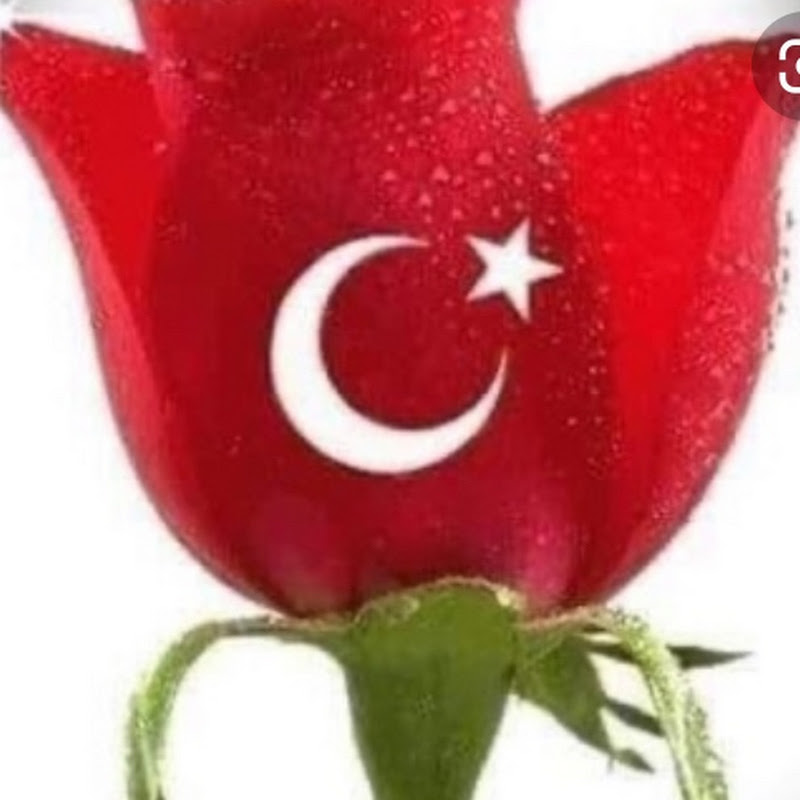 pak turk mom vlogs