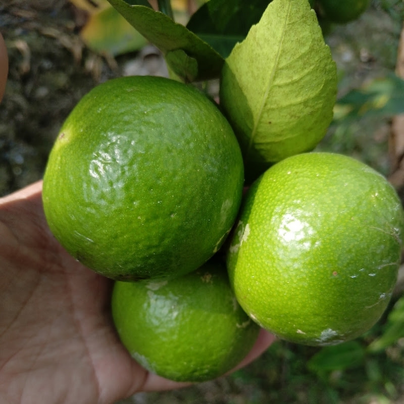 AgriNature