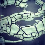 Contemporary Ceramics