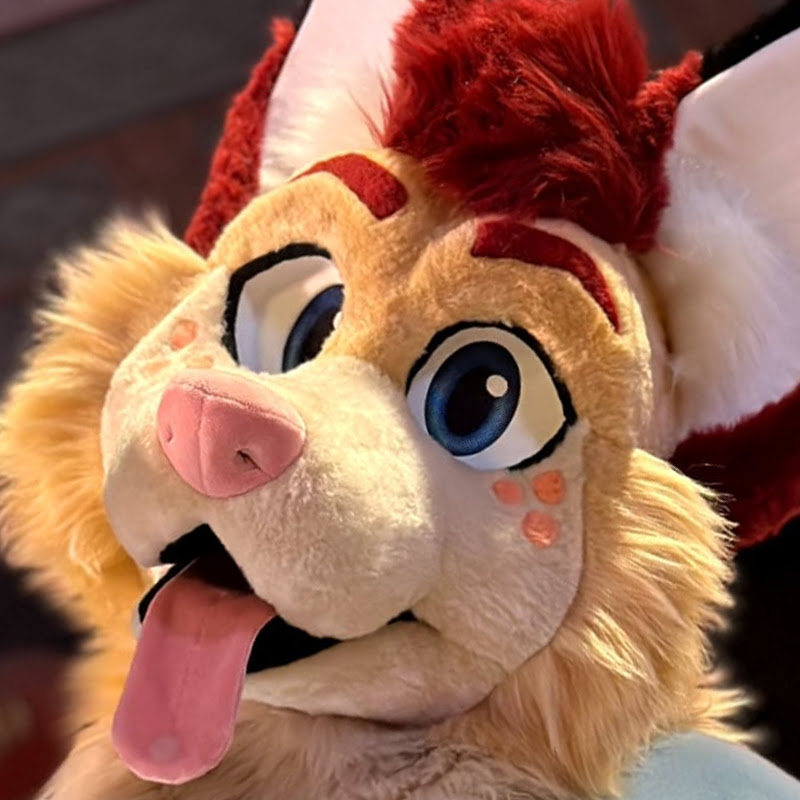 Zyly The Fox