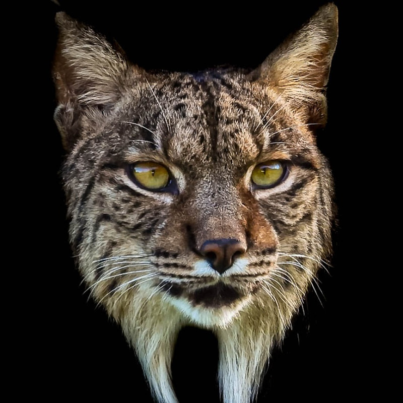 La Naturaleza Escondida.