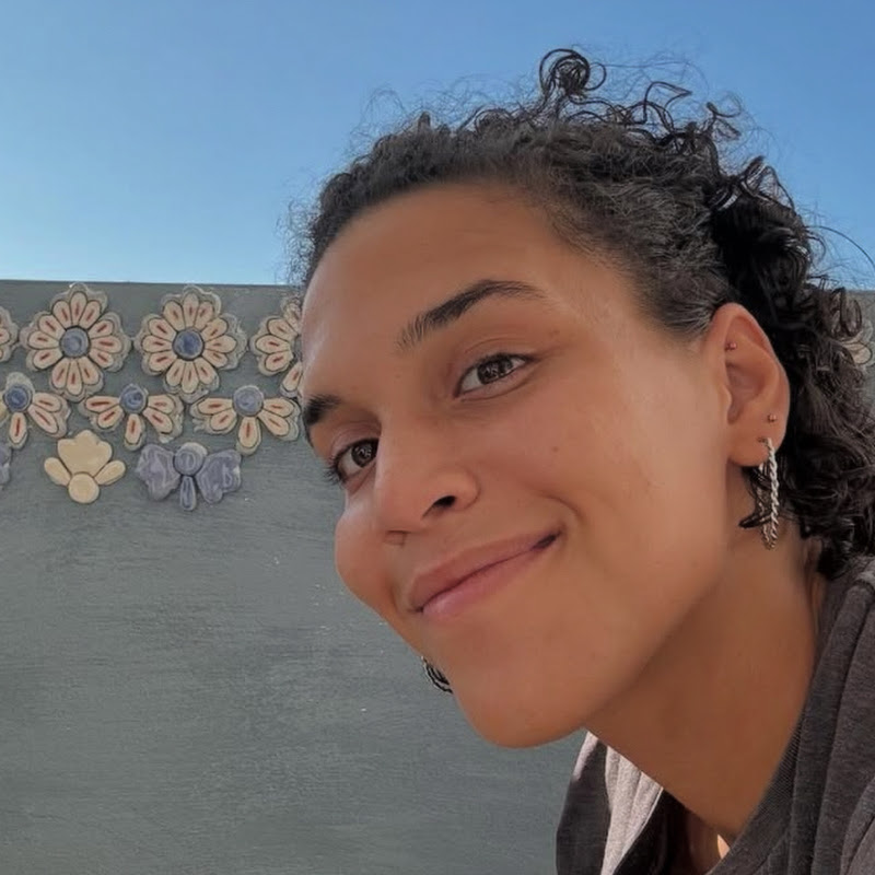 the Canzoniere Art