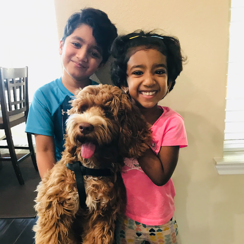 Rohan Riya Fun Times