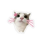 ほの