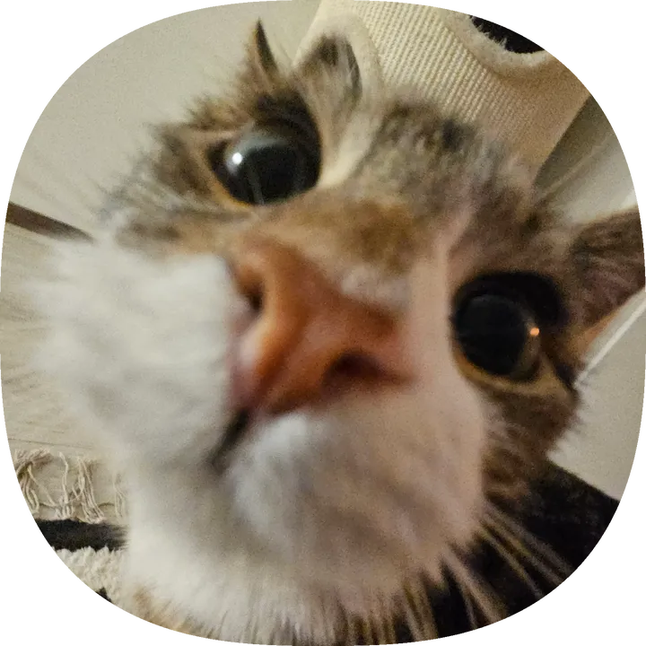 jakorasia
