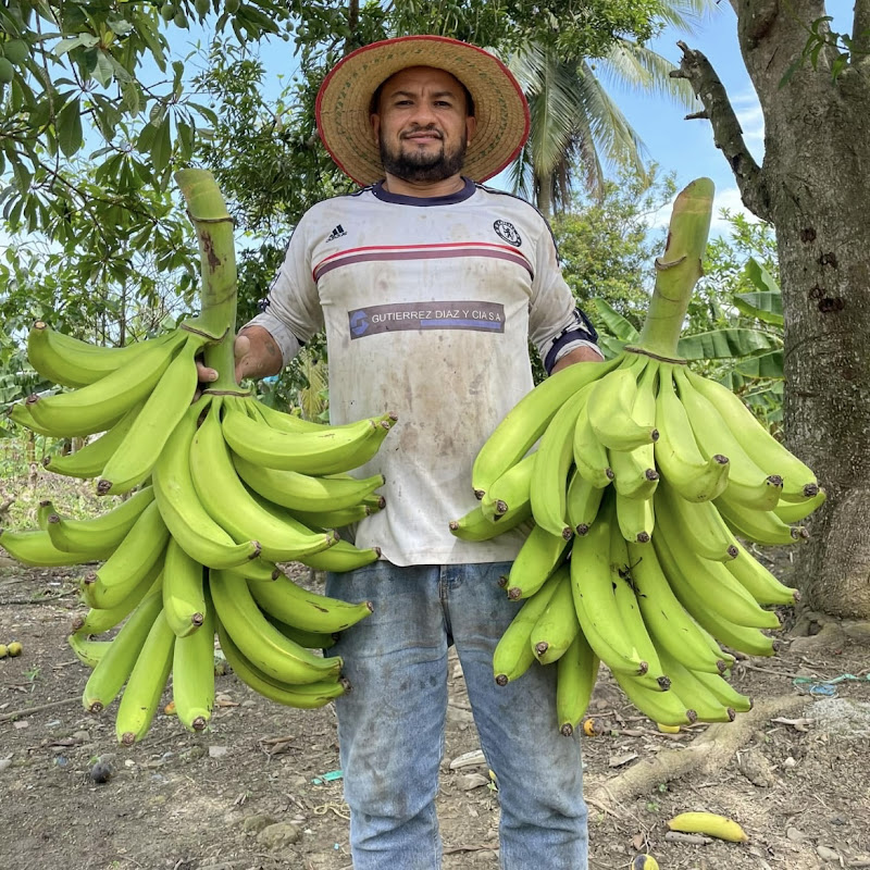 elfarucho