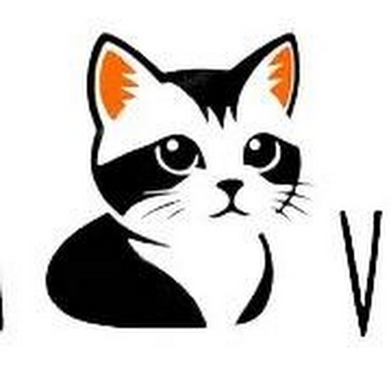 Madeira Velvet Paws Cattery