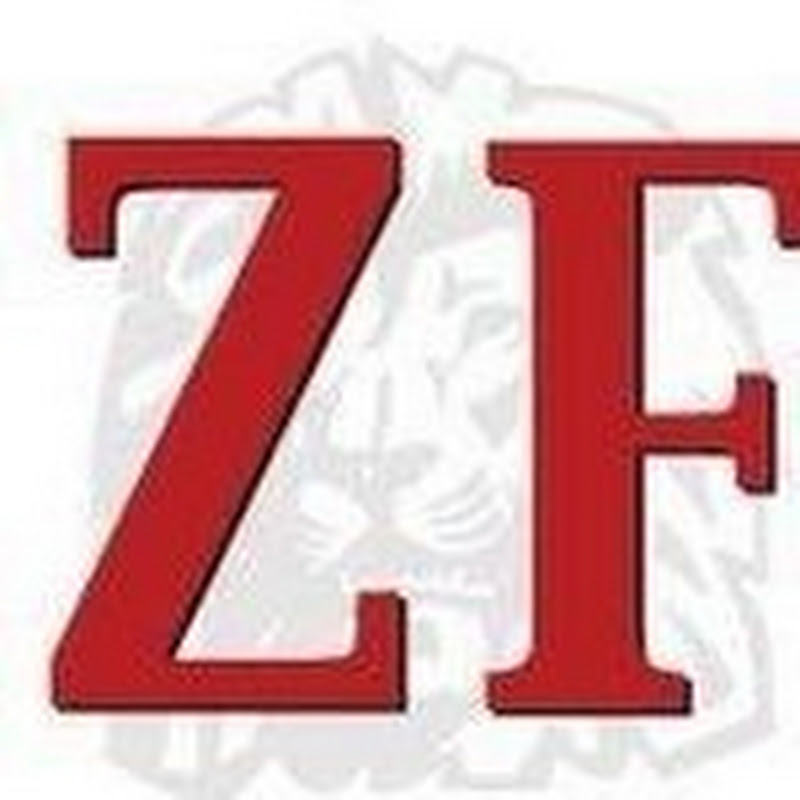 Ziarul Financiar Official