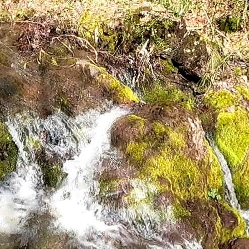 hike me a river