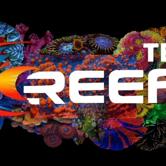 TEE'S REEF