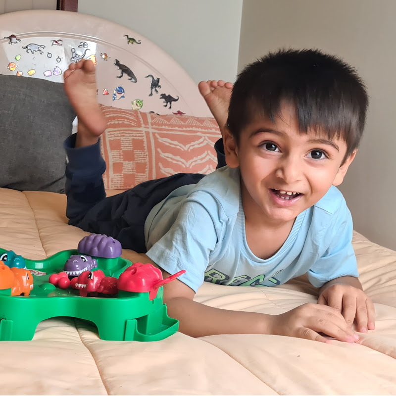 Zakaria's Toys Review