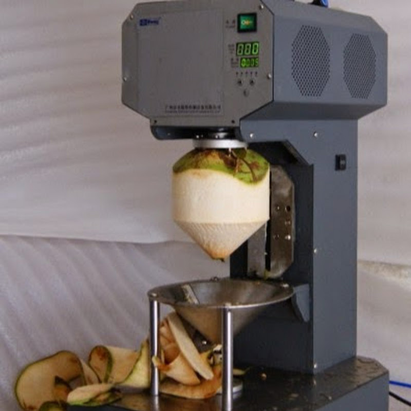Fruit peeler master