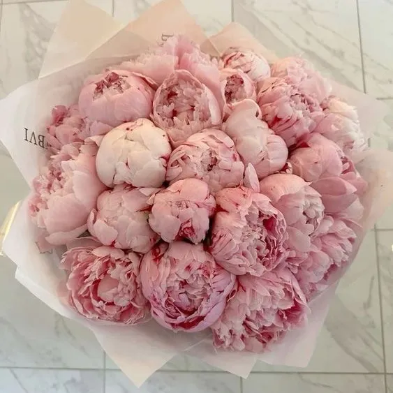 𝐜𝐨𝐩𝐞𝐧𝐬𝐭𝐢𝐥💕