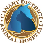 Toronto Veterinarian - Canary District Animal Hospital