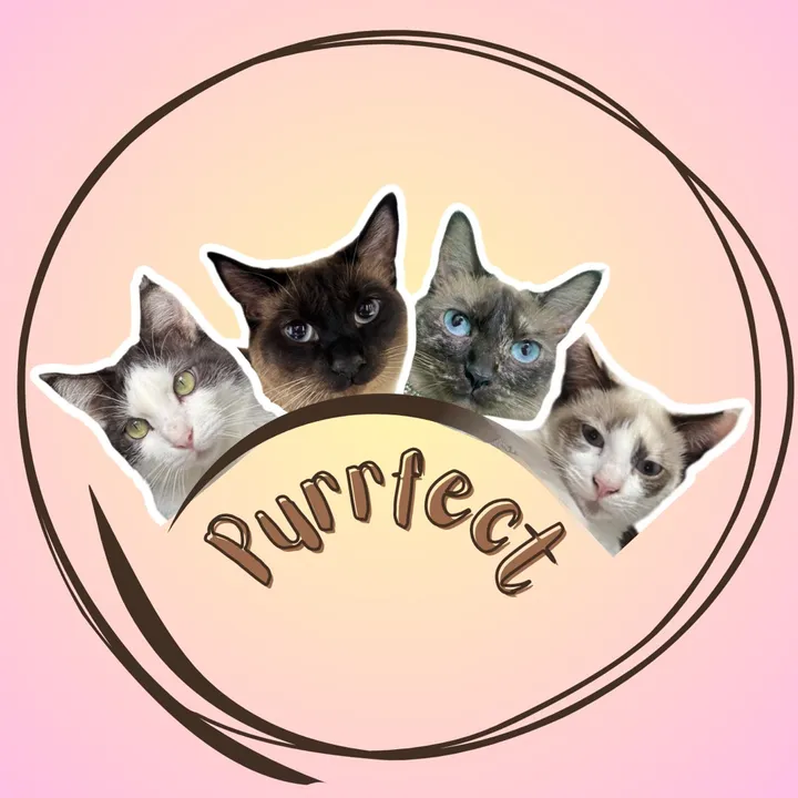 Purr Archive 🐾
