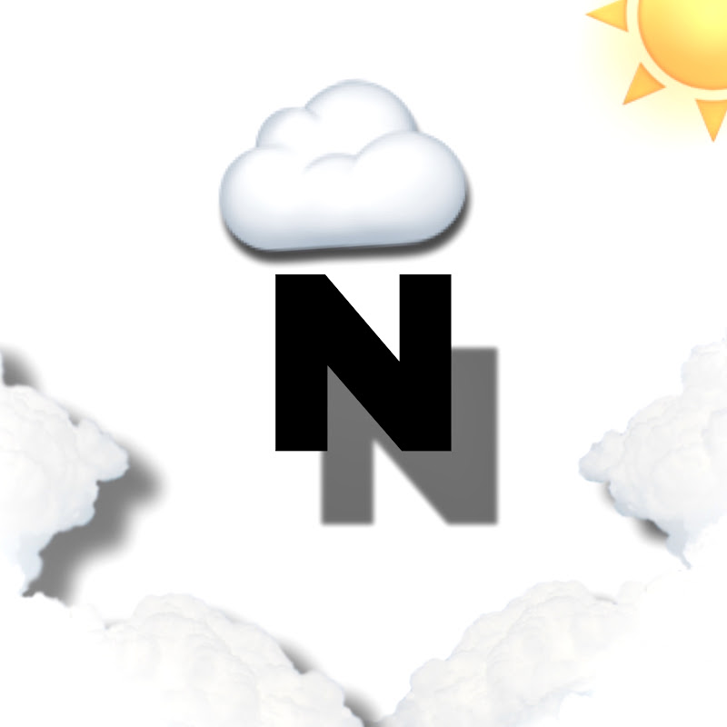 Netry