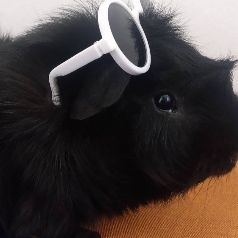 MI AMIGO  CUYO